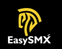 12% Off Mobile Gaming Controller