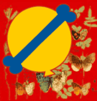 50% Off Print Casual Pants