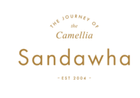 Baby Collections Starts From $35