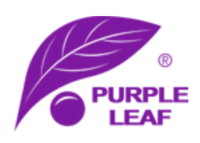 Upto 35% Off Patio Furniture