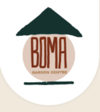 Indoor Plants Starts From £6