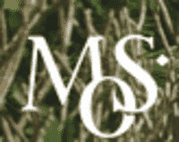 Upto 55% Off Sale Items