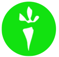 Upto 20% Off Subscribe And Save