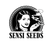 25% Off Autoflowering Seeds