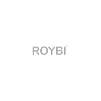 Roybi Robot