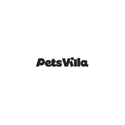 Pets Villa