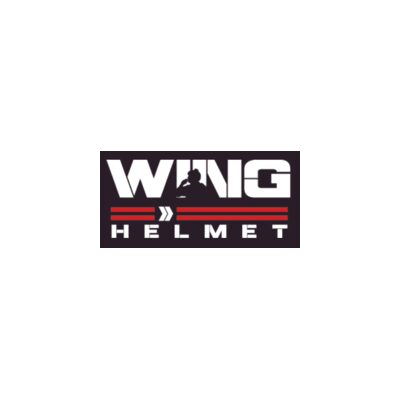 Wing Helmet