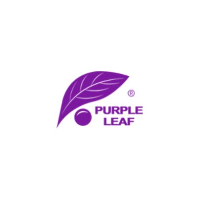 Purple Leaf