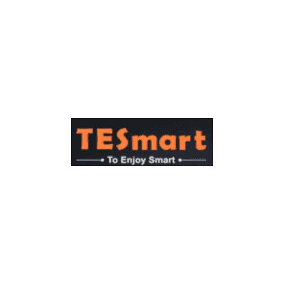 TESmart