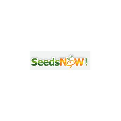 SeedsNow