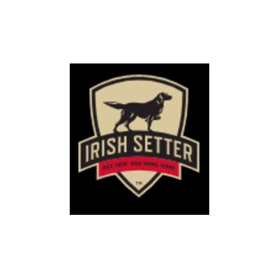 Irish Setter