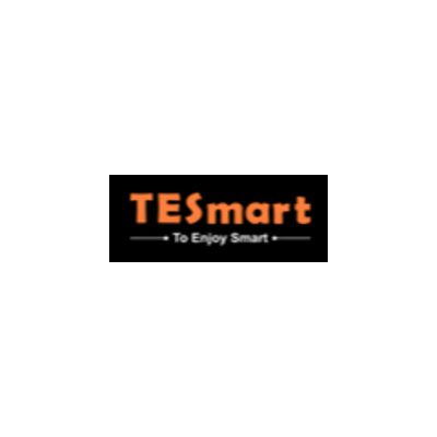 TESmart