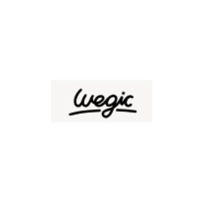 Wegic Coupon Codes