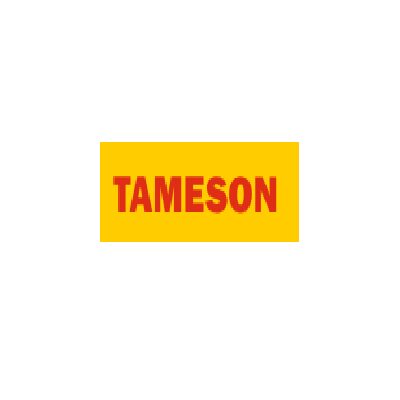 Tameson